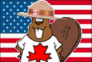 welcoming beaver with american flag backdrop