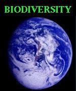 Index of /~biodiversity/gifs