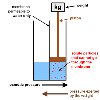 definition-potential energy