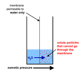potential energy of water