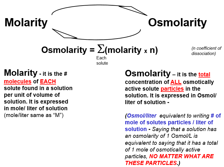 Particular activity. Osmolarity. Osmolality Impact. Osmolarity mean. Osmolarity Plasm.